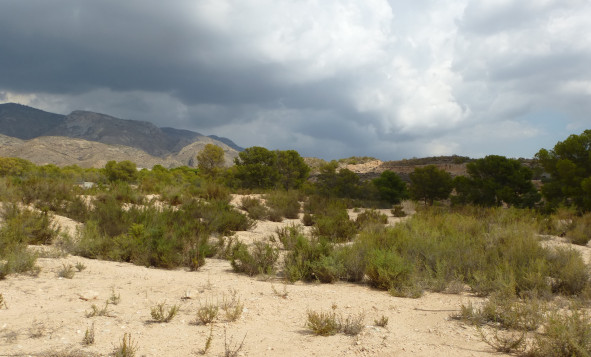 Herverkoop - Building Plot - Crevillente - Orihuela