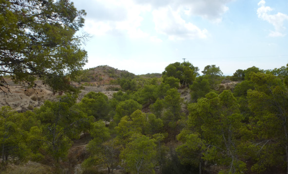 Herverkoop - Building Plot - Crevillente - Orihuela