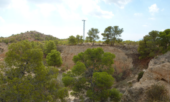 Herverkoop - Building Plot - Crevillente - Orihuela