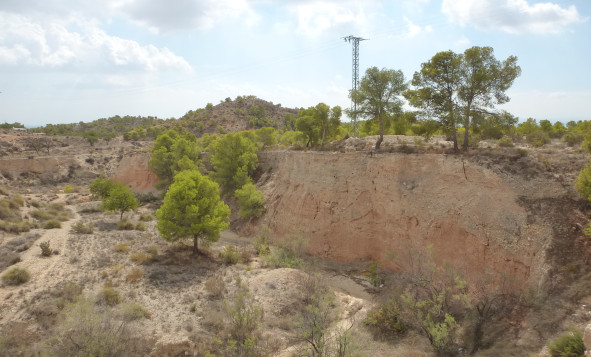 Herverkoop - Building Plot - Crevillente - Orihuela