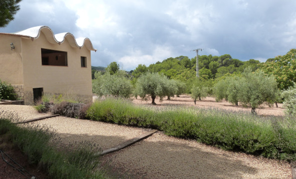 Resale - 5. Finca / Country Property - Ibi - Alcoy