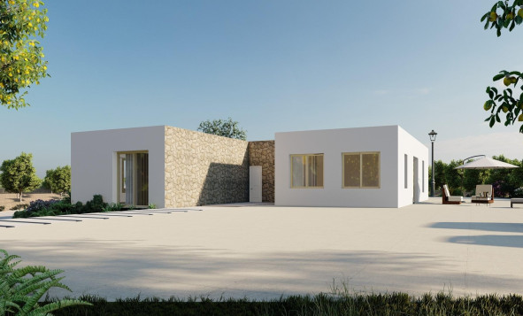 Obra nueva - 4. House - Detached Villa - Algorfa - Rojales