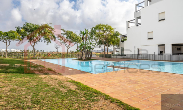 Reventa - 1. Apartment / flat - Las Terrazas De La Torre - Balsicas