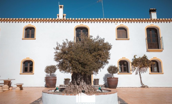 Herverkoop - 4. House - Detached Villa - Lorca - Balsicas