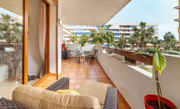 Reventa - 1. Apartment / flat - Punta Prima - Orihuela Costa