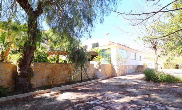 Resale - 5. Finca / Country Property - Aspe - Pinoso