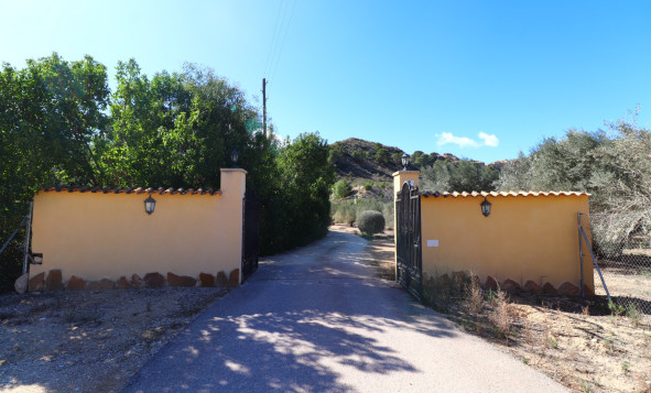 Reventa - 5. Finca / Country Property - Aspe - Pinoso