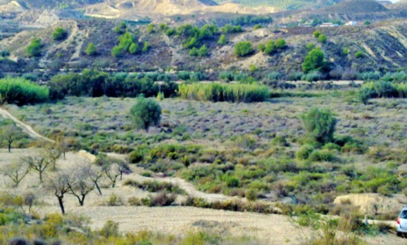 Herverkoop - Bouwgrond - Torremendo - Costa Blanca Zuid