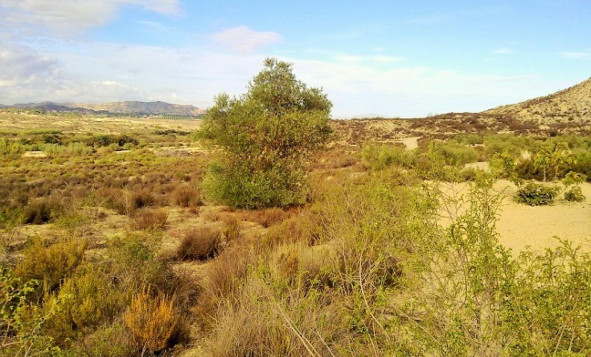 Herverkoop - Bouwgrond - Torremendo - Costa Blanca Zuid