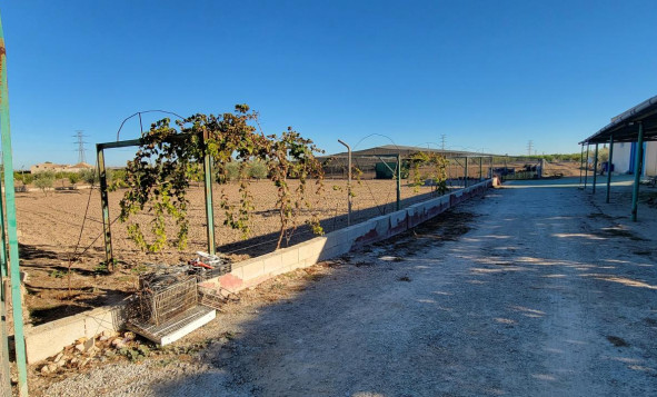 Herverkoop - 7. Finca / landhuis - San Miguel de Salinas - Costa Blanca Zuid