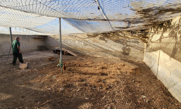 Herverkoop - 7. Finca / landhuis - San Miguel de Salinas - Costa Blanca Zuid