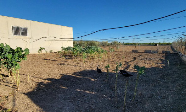 Herverkoop - 7. Finca / landhuis - San Miguel de Salinas - Costa Blanca Zuid