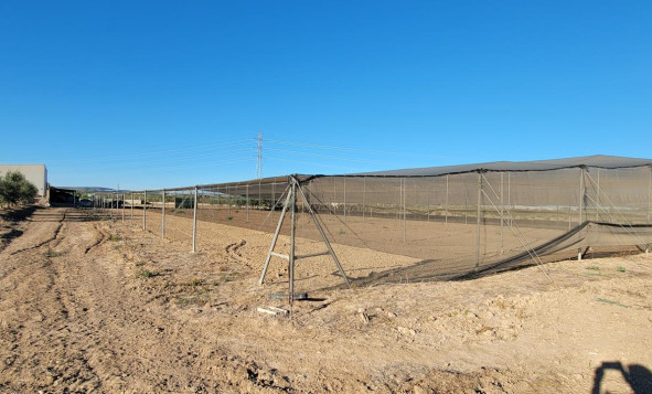 Herverkoop - 7. Finca / landhuis - San Miguel de Salinas - Costa Blanca Zuid