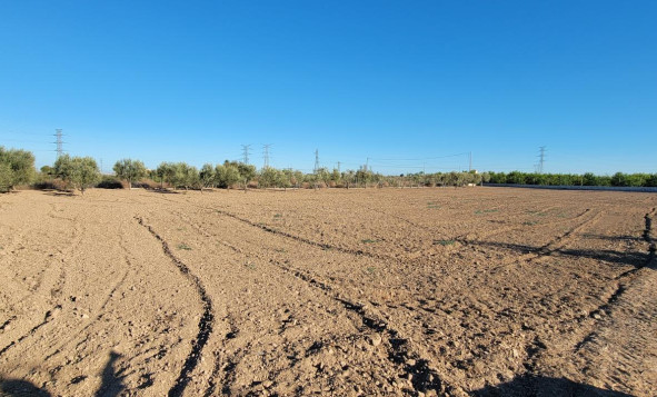 Herverkoop - 7. Finca / landhuis - San Miguel de Salinas - Costa Blanca Zuid