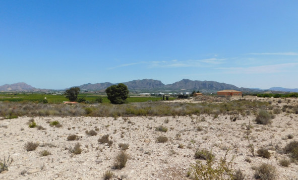 Reventa - Terreno edificable - Fortuna - Costa Calida