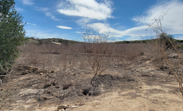Herverkoop - 7. Finca / landhuis - San Miguel de Salinas - Costa Blanca Zuid