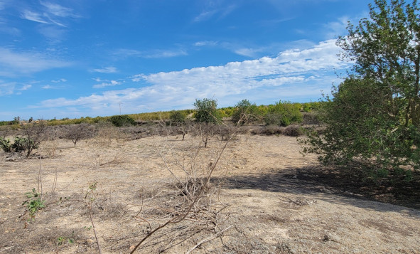 Herverkoop - 7. Finca / landhuis - San Miguel de Salinas - Costa Blanca Zuid