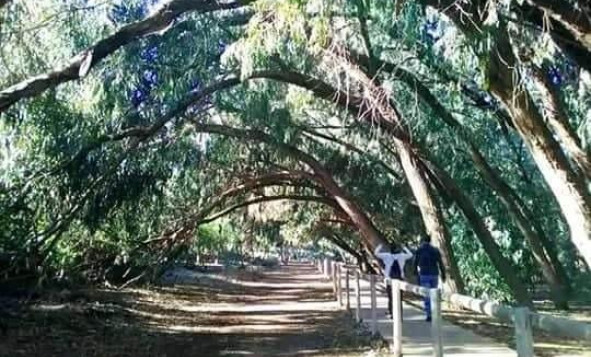 Nieuwbouw woningen - 1. Appartement / flat - Torrevieja - Costa Blanca Zuid