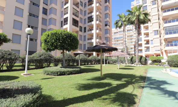 Reventa - Apartment - Guardamar del Segura - Guardamar