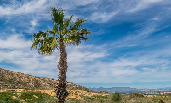 Herverkoop - 1. Appartement / flat - Algorfa - Costa Blanca Zuid