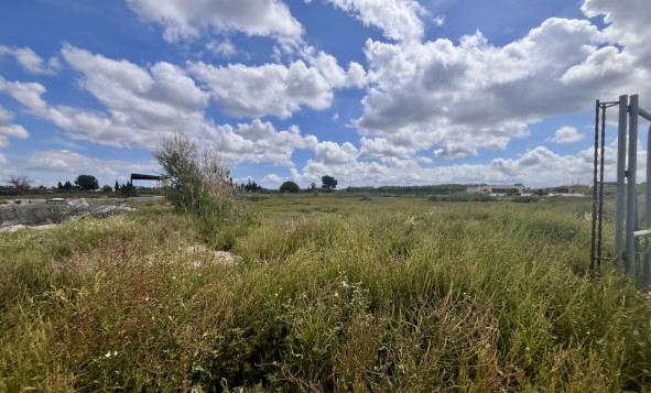 Herverkoop - Bouwgrond - Catral - Costa Blanca Zuid