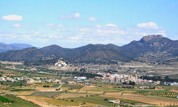 Obra nueva - 3. Casa pareada - La Romana - Costa Blanca Norte 