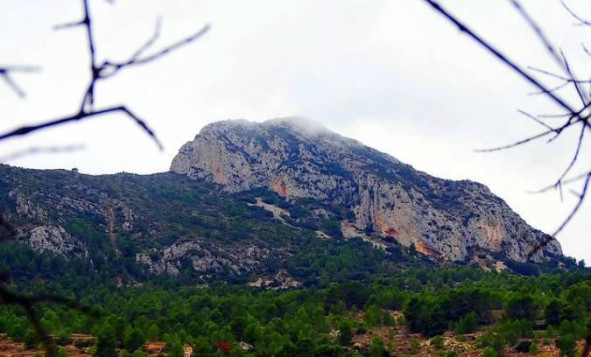 Obra nueva - 3. Casa pareada - La Romana - Costa Blanca Norte 