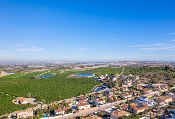 Herverkoop - 4. House - Detached Villa - Almoradí - Rojales