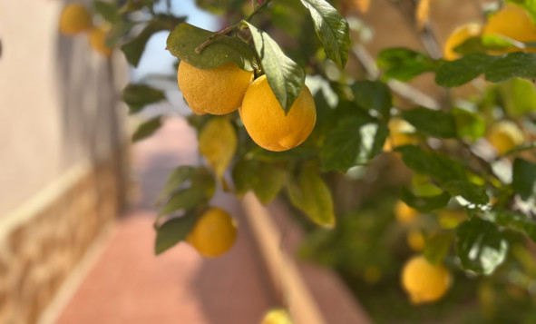 Herverkoop - 3. Halfvrijstaand huis - Algorfa - Costa Blanca Zuid