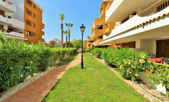 Herverkoop - 1. Appartement / flat - Punta Prima - Costa Blanca Zuid