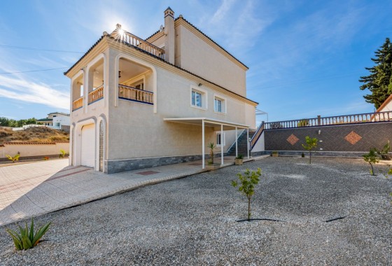 Herverkoop - 4. House - Detached Villa - Almoradí - Rojales