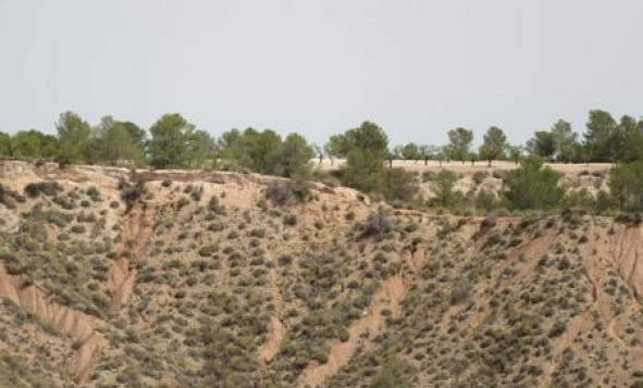 Reventa - Terreno edificable - Murcia - Costa Calida