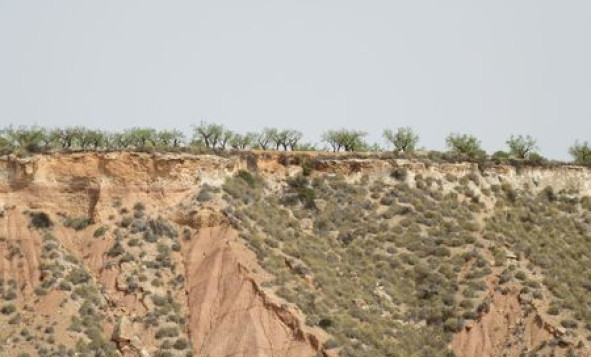 Reventa - Terreno edificable - Murcia - Costa Calida