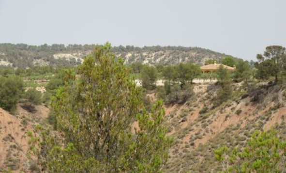 Reventa - Terreno edificable - Murcia - Costa Calida