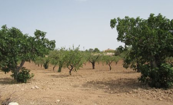 Reventa - Terreno edificable - Murcia - Costa Calida