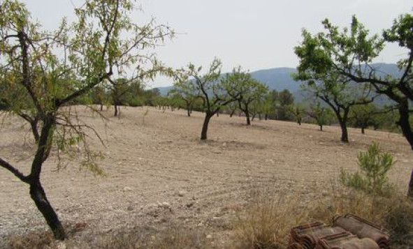 Reventa - Terreno edificable - Murcia - Costa Calida