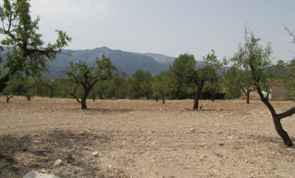 Reventa - Terreno edificable - Murcia - Costa Calida