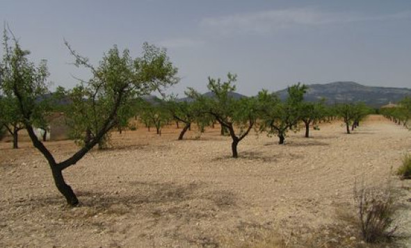 Reventa - Terreno edificable - Murcia - Costa Calida