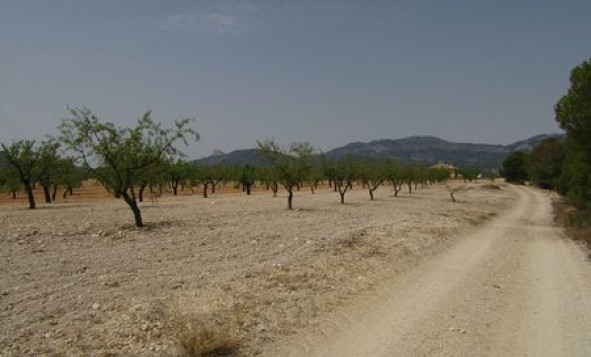 Reventa - Terreno edificable - Murcia - Costa Calida