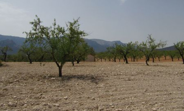 Reventa - Terreno edificable - Murcia - Costa Calida