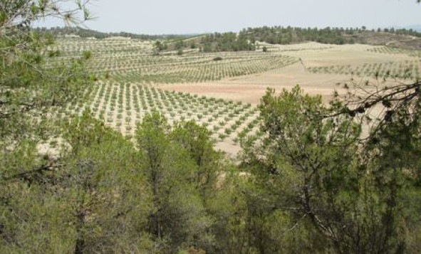 Reventa - Terreno edificable - Murcia - Costa Calida