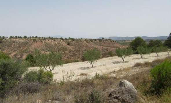 Reventa - Terreno edificable - Murcia - Costa Calida