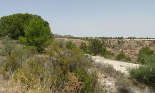 Reventa - Terreno edificable - Murcia - Costa Calida