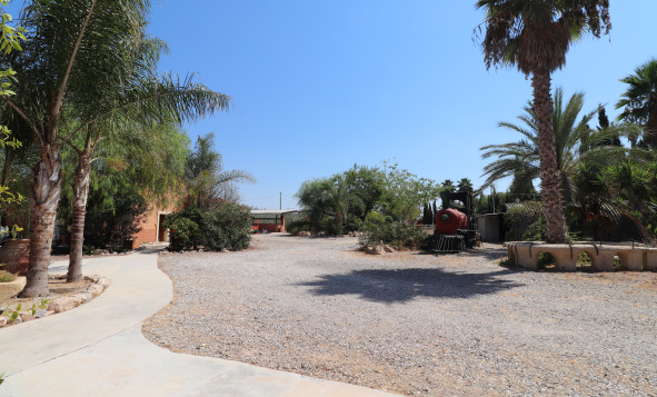 Herverkoop - 7. Finca / landhuis - Catral - Costa Blanca Zuid