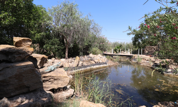 Herverkoop - 7. Finca / landhuis - Catral - Costa Blanca Zuid