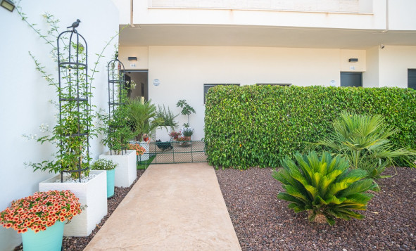 Herverkoop - 1. Appartement / flat - Pilar de la Horadada - Costa Blanca Zuid