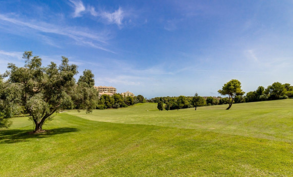 Herverkoop - 1. Appartement / flat - Dehesa de Campoamor - Costa Blanca Zuid