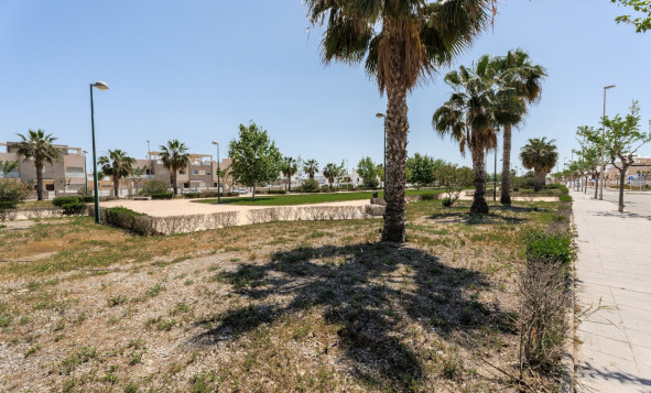 Reventa - 1. Apartamento / piso - Torre de la Horadada - Costa Blanca Sur