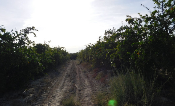 Resale - Building Plot - Torremendo - Costa Blanca South