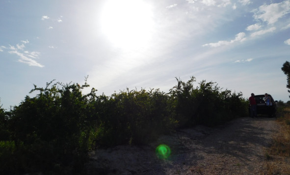 Resale - Building Plot - Torremendo - Costa Blanca South